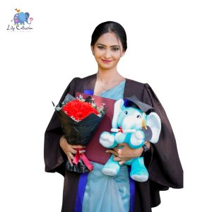 Graduation Elina Elephant Soft Toys 🧑🎓🐘 22 Orange Cute Toys Big Sale Instagram Post44