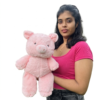 Free Delivery Plush LULU Pig Doll 40cm Premium Quality | SRI LANKA 10 IMG 9847