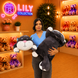 Free Delivery Sleeping Angry Cat Premium Plush Toy 65cm | Sri Lanka